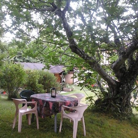 Gite L'Appel De La Foret Betplan Dış mekan fotoğraf