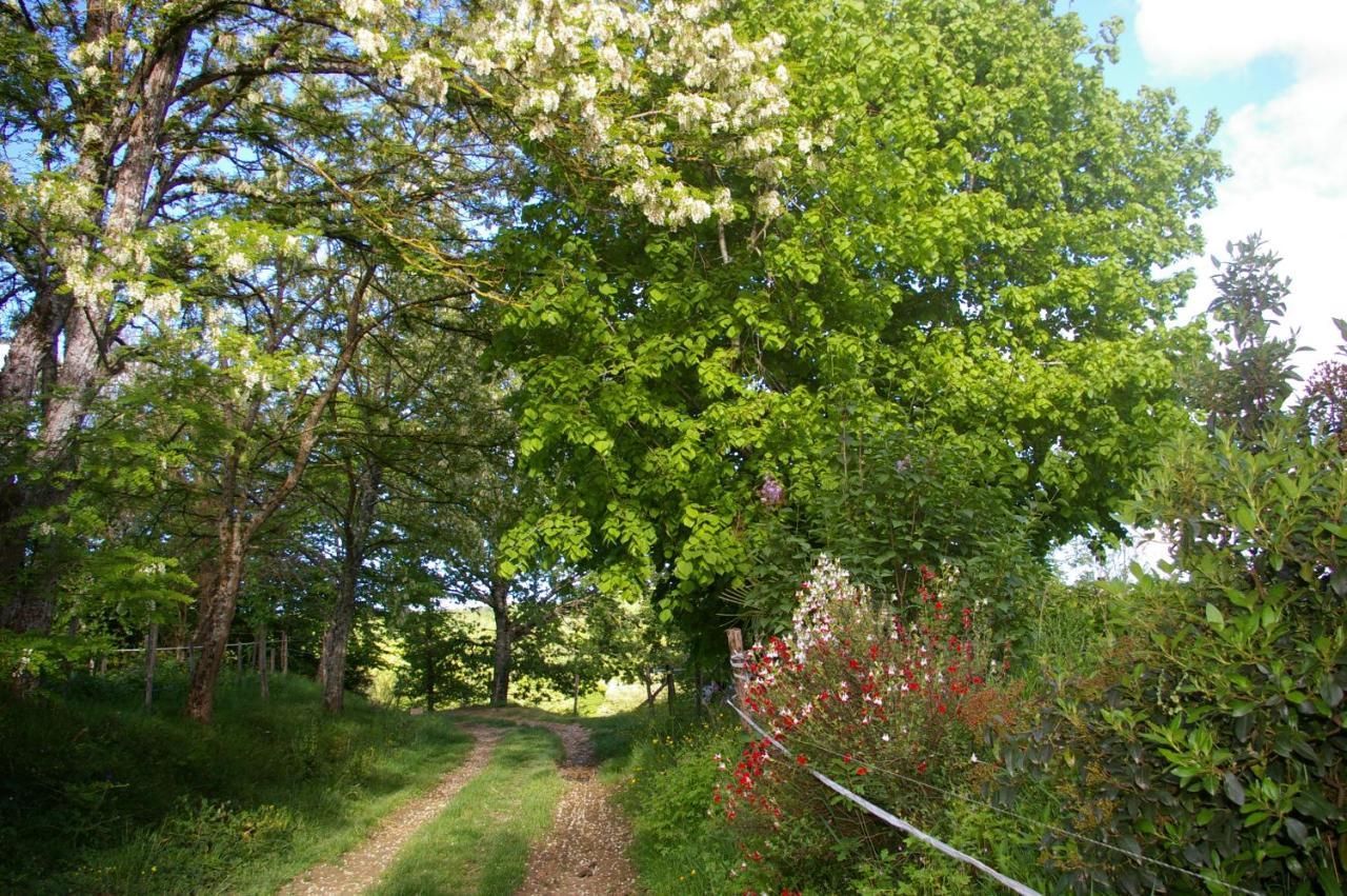Gite L'Appel De La Foret Betplan Dış mekan fotoğraf