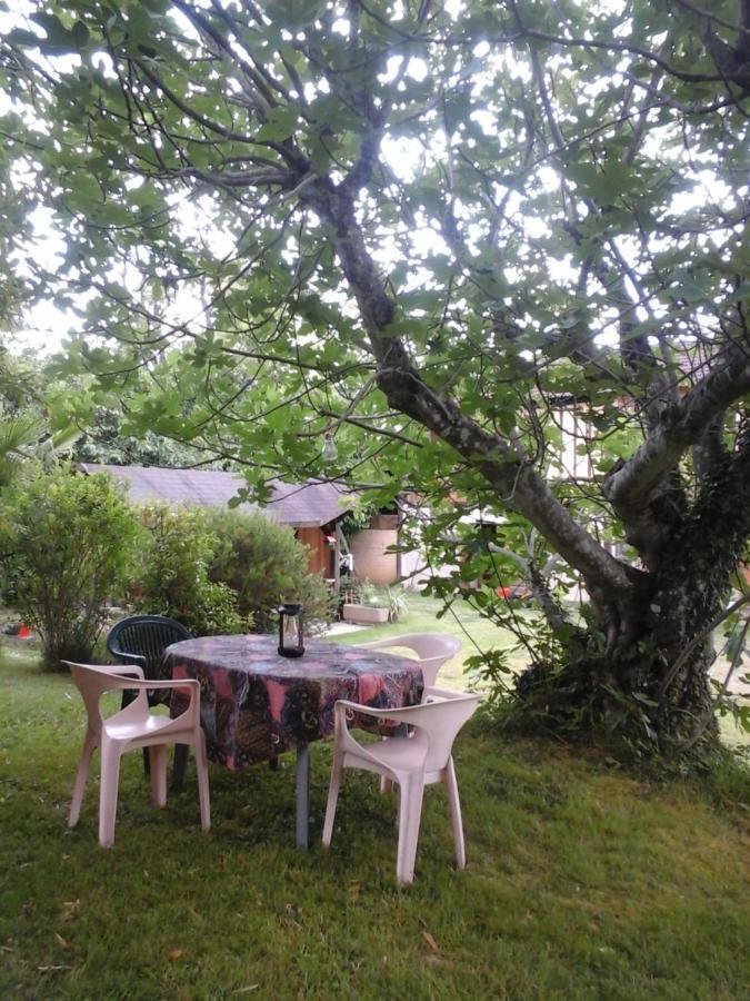 Gite L'Appel De La Foret Betplan Dış mekan fotoğraf