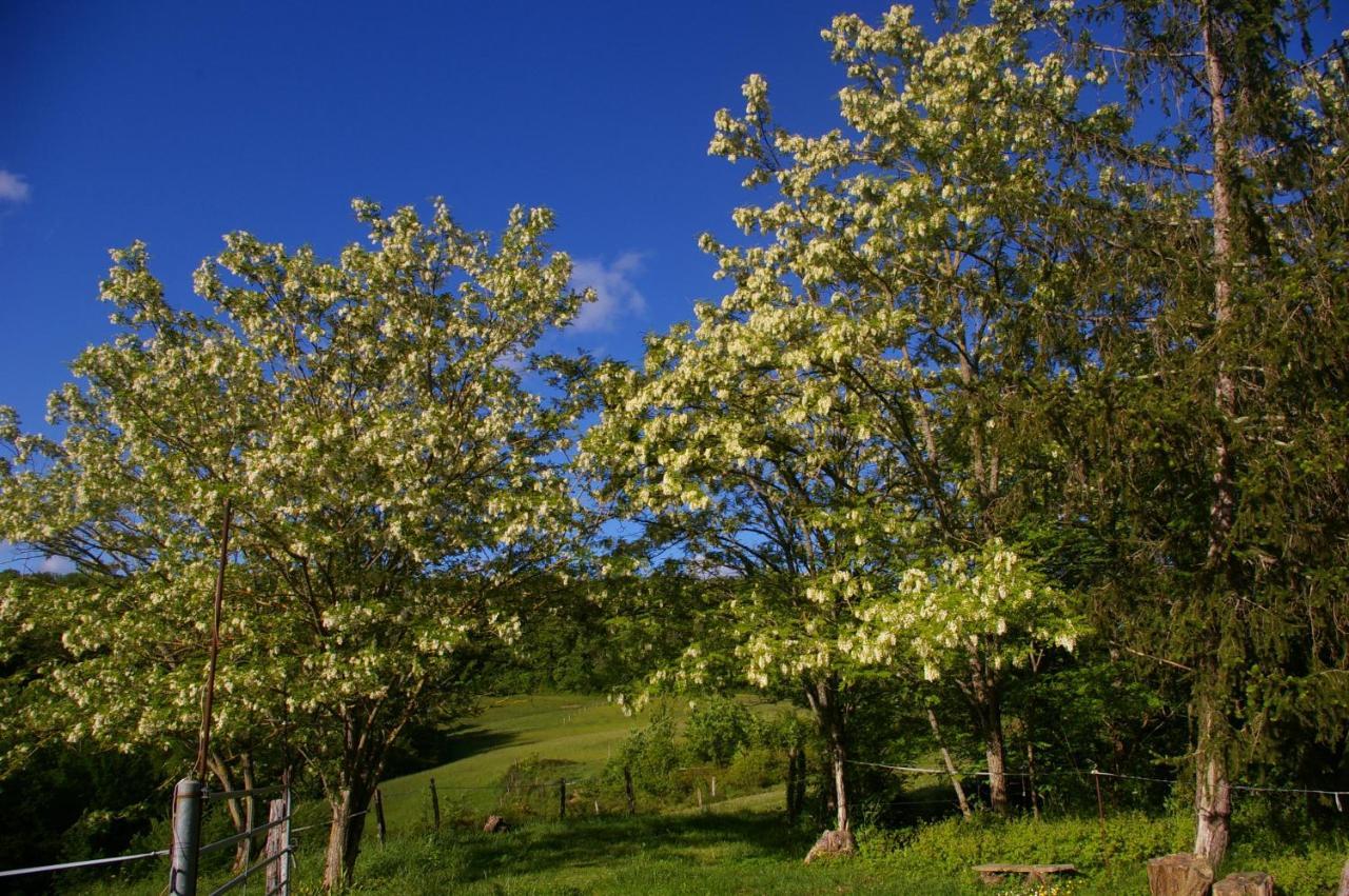 Gite L'Appel De La Foret Betplan Dış mekan fotoğraf