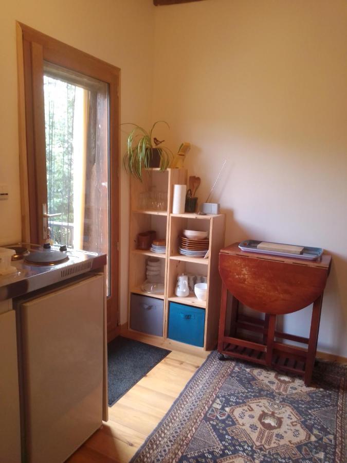 Gite L'Appel De La Foret Betplan Dış mekan fotoğraf